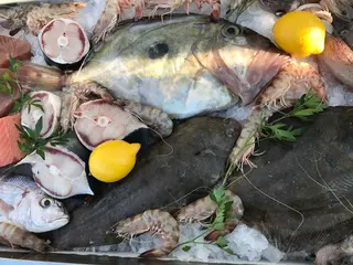 Ulov dana 
