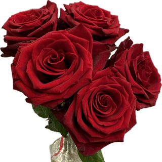 Bukiet z 5 czerwonych róż