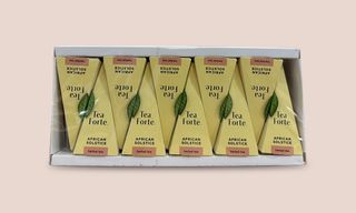 Tea Forte African Solstice 10ცალი