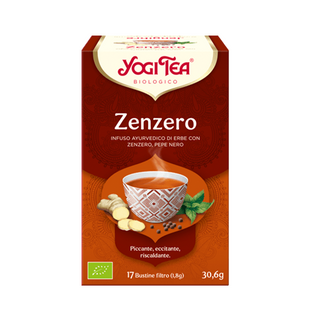 Infusi zenzero