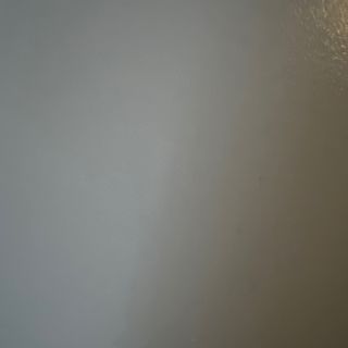 Viena Cerdo Completa con Mayonesa 