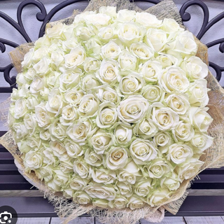 White Roses