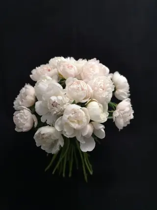Buchet 13 bujori albi sau roz pal
