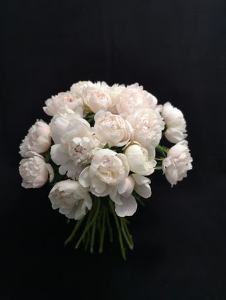 Buchet 15 bujori albi sau roz pal