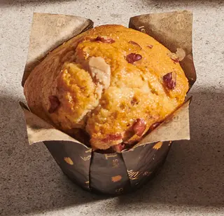 Tulipe chocolate