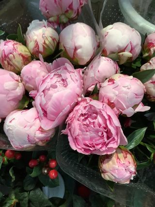 Mazzo peonie grande 10 pezzi