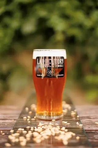 Labrewtory Brut IPA