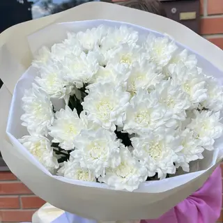 5 хризантем