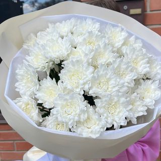 5 хризантем