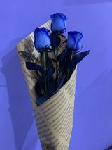 ლურჯი ჰოლანდიური ვარდი