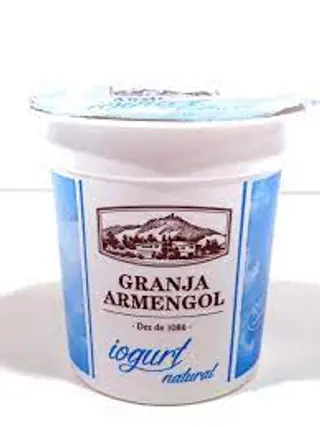 Iogurt Natural Armengol 125 Gr.