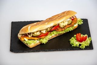 Panini Snitel