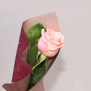 ROSE UNIQUE avec emballage