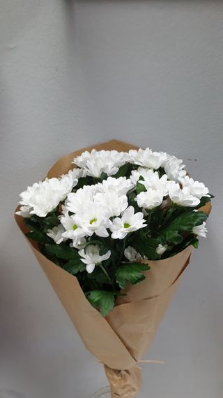 Buket 5 bijelih margareta u natur papiru