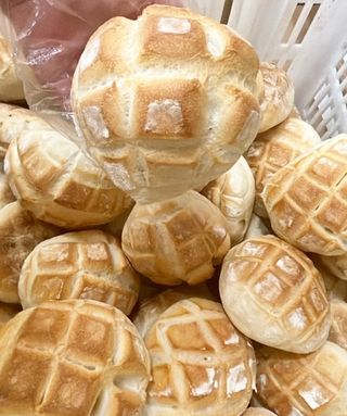 Panini vuoti 5 tartarghe