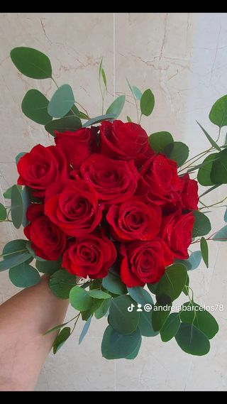 Ramo de Rosas Vermelhas com Eucalipto