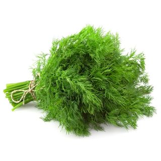 Eneldo Manojo 40 Gr.