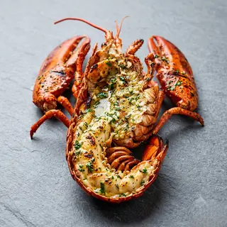 Grilled India Ocean Lobster