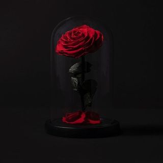 Rosas Eternas en Cúpula (1ROSA)