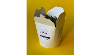 BOX Yellow Udon tofu