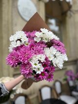 თეთრი და ვარდისფერი ქრიზანთემები