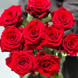 11 czerwonych róż
