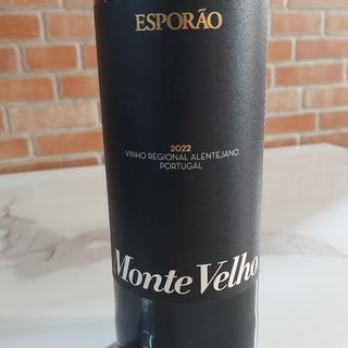 MONTE VELHO TINTO