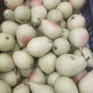 Pera ercolina 1kg produccio local km0