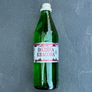 Мінеральна вода Поляна квасова (500мл)