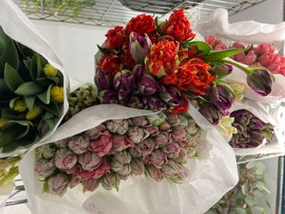 Buchet “Cât toată primăvara” (45 lalele)