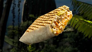 Ala Cu Trufe Baby Gorilla Size