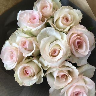 Baby Bouquet Rose poudré 10 roses