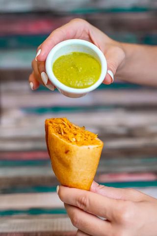 Empanada Pollo