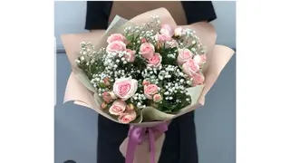 სპრეი ვარდი გიფსოფილა