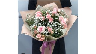 სპრეი ვარდი გიფსოფილა