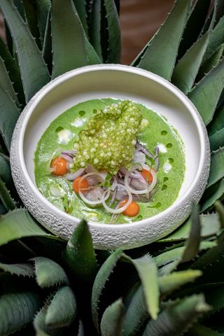 Cebiche Verde De Corvina