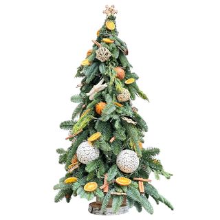 Brăduț 80cm brad natural.