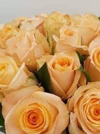 Buchetul zilei din 7 trandafiri somon