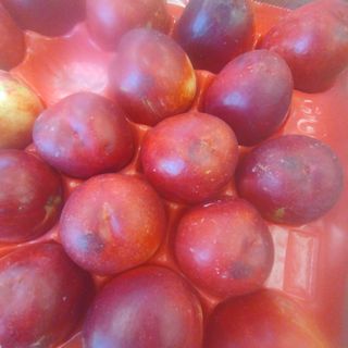 Nectarina riudoms 1 kg