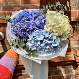 Букет з 3 гортензій (мікс) та евкаліпту