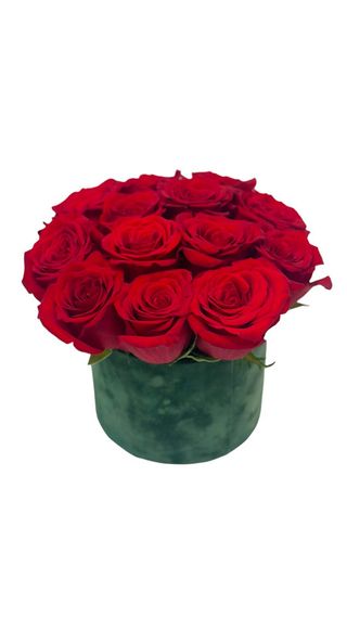 Cutie catifea GREEN&RED