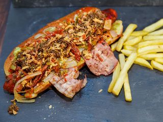 Big Spice Dog Tex Mex XXL