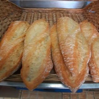 Gallega mediterránea 