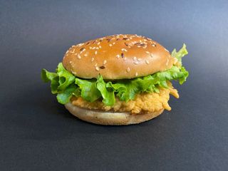 CHICKEN BURGER 205 gr.