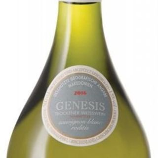 Botella Sauvignon (500ml)