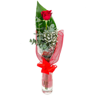 Rosa Vermelha Com Verduras
