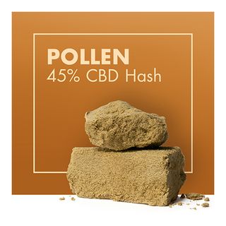 Polen Dry Sift 45% CBD 10Gr.