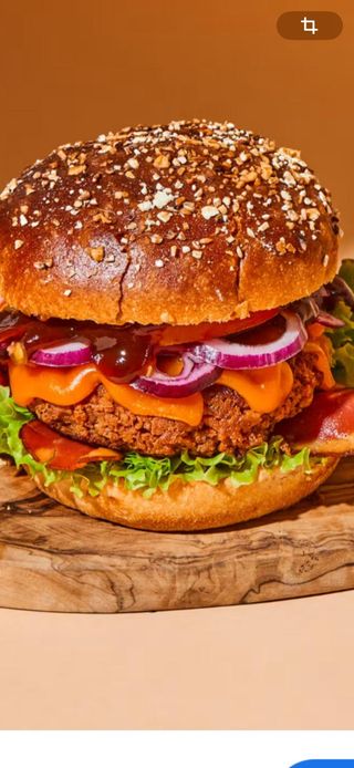 Hambúrguer Vegetariano