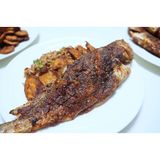 Fried Fish (Grilled)