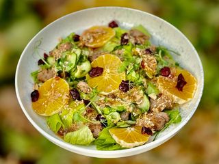 Салат з апельсином, смаженою качкою, арахісом, битим огірком, вʼяленою журавлиною та соусом Джинджер (235g)